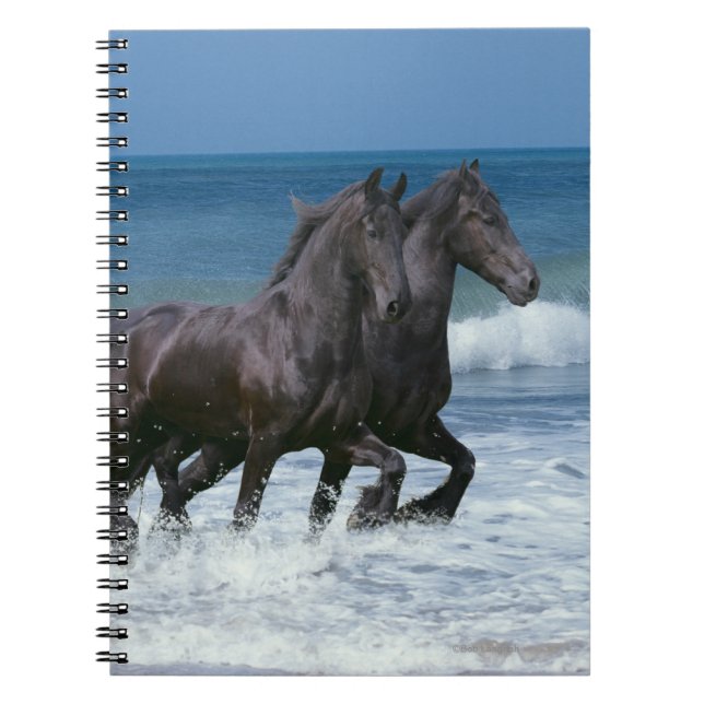 Cuaderno Caballos de la fantasía: Frisios y mar (Frente)