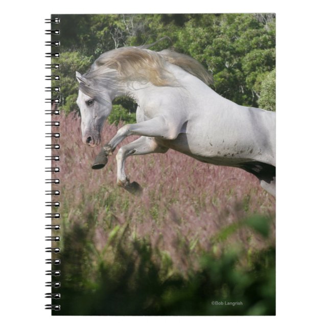 Cuaderno Caballos de la fantasía: Galope de la primavera (Frente)