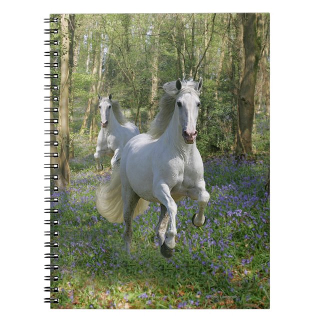 Cuaderno Caballos de la fantasía: Madera del Bluebell (Frente)