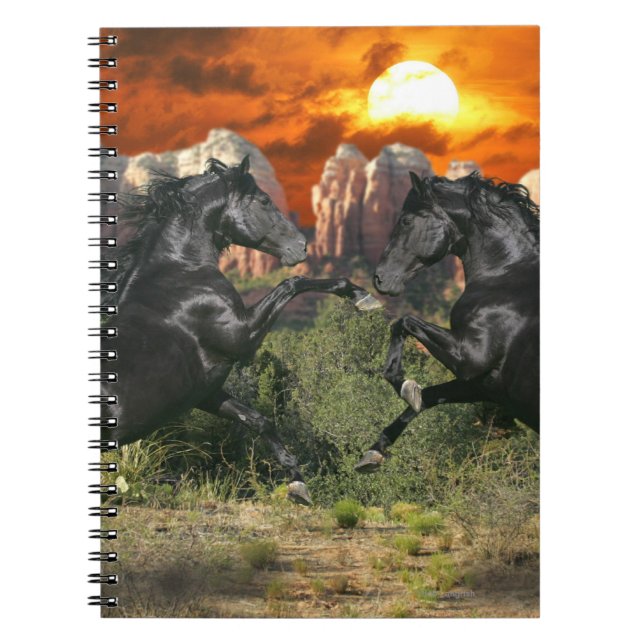 Cuaderno Caballos de la fantasía: Magia negra (Frente)