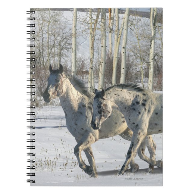 Cuaderno Caballos de la fantasía: País de las maravillas (Frente)