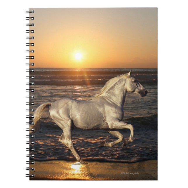 Cuaderno Caballos de la fantasía: Puesta del sol (Frente)