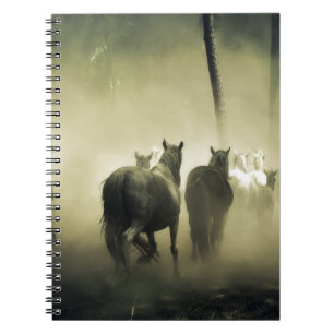 Cuaderno CABALLOS DE VISTA DE bonito