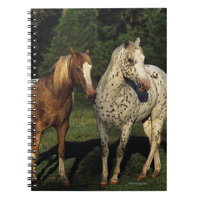 Cuaderno Caballos del Appaloosa (Frente)