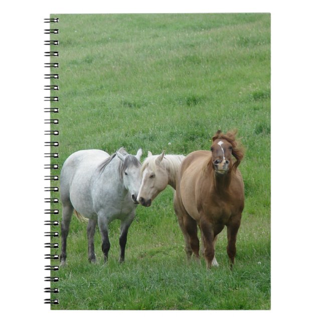 Cuaderno Caballos divertidos (Frente)
