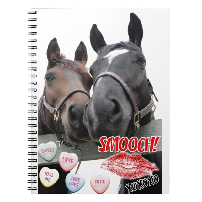 Cuaderno Caballos el día de San Valentín (Frente)