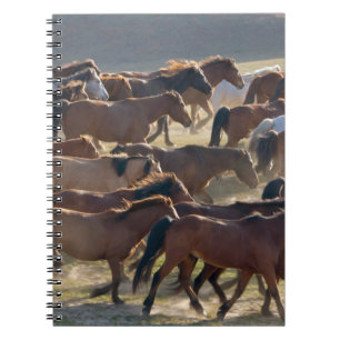 Cuaderno Caballos en el rancho, Mongolia Interior, China