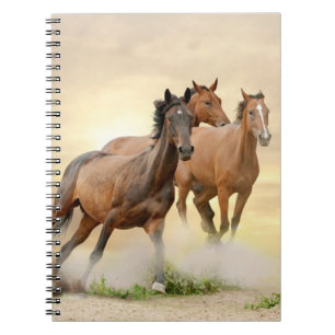 Cuaderno Caballos en puesta del sol