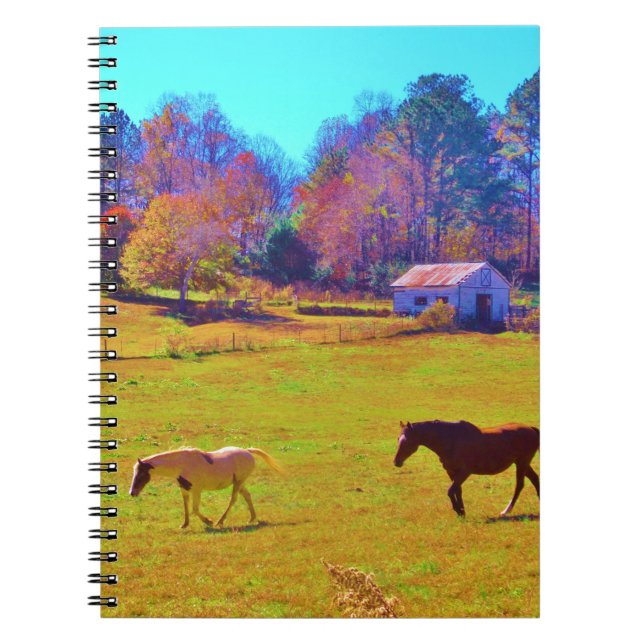 Cuaderno Caballos en un campo de color arcoiris (Frente)