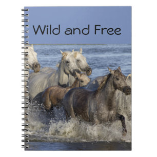 Cuaderno Caballos galopando en el agua