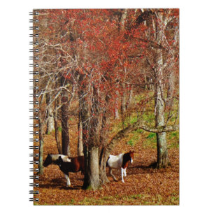 Cuaderno Caballos gemelos marrón y blanco