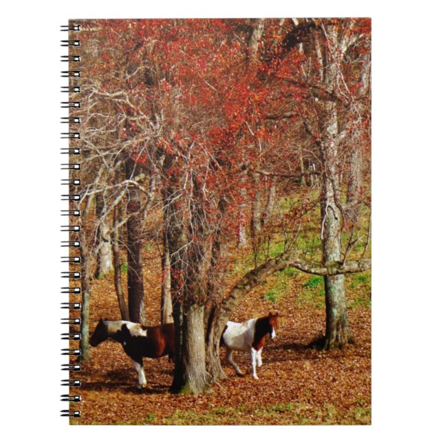 Cuaderno Caballos gemelos marrón y blanco (Frente)