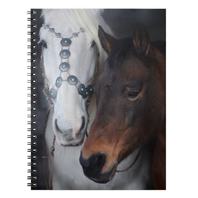 Cuaderno Caballos hermosos (Frente)