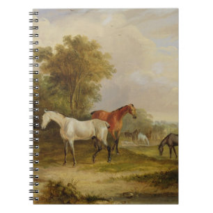 Cuaderno Caballos que pastan: Un semental gris que pasta
