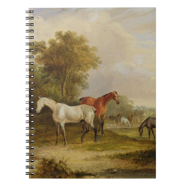 Cuaderno Caballos que pastan: Un semental gris que pasta (Frente)