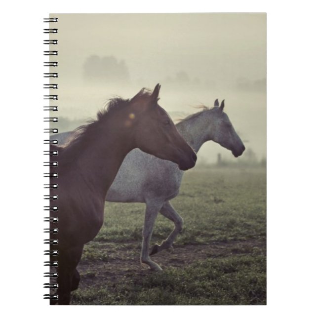 Cuaderno Caballos salvajes (Frente)