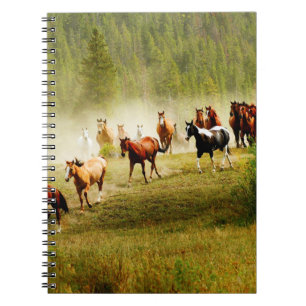 Cuaderno Caballos salvajes