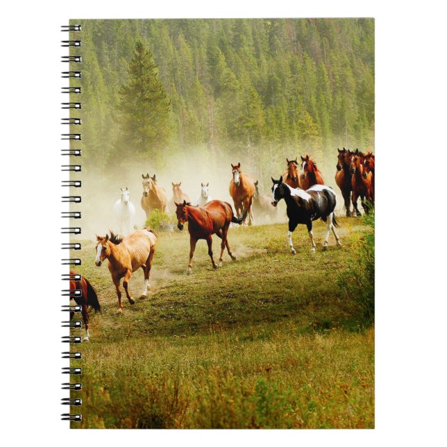 Cuaderno Caballos salvajes (Frente)