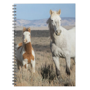 Cuaderno Caballos salvajes en casa en la cuenca de Sandwash
