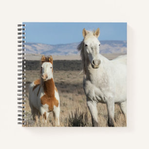 Cuaderno Caballos Salvajes en Casa en la Cuenca de Sandwash