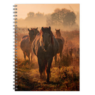 Cuaderno Caballos salvajes: Encuentro de Intenso Contacto d