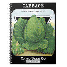 Cabbage Card Seed Co. paquete Fredonia, NY Vintage