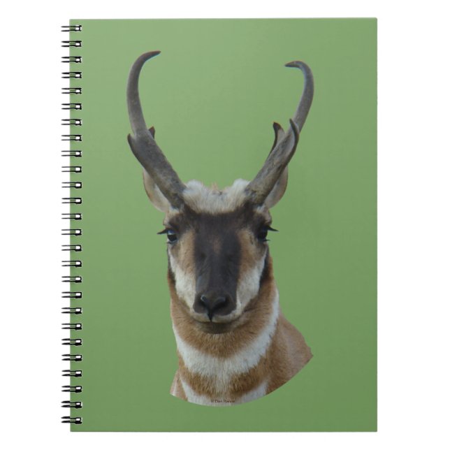 Cuaderno Cabeza de A19 antílope berrendo de cara oscura mac (Frente)