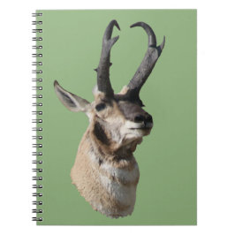 Cuaderno Cabeza de antílope berrendo macho A18