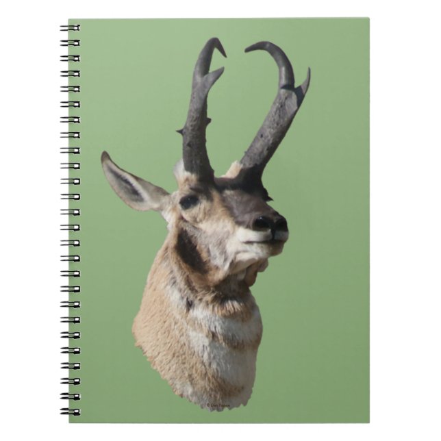 Cuaderno Cabeza de antílope berrendo macho A18 (Frente)