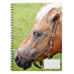 Cuaderno Cabeza de caballo 003