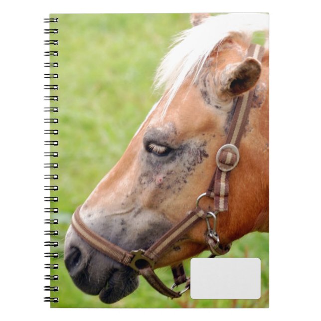 Cuaderno Cabeza de caballo 003 (Frente)