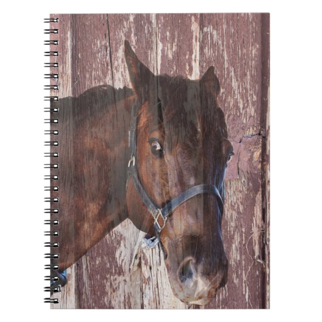 Cuaderno Cabeza de caballo Oeste Mira a sus ojos. (Frente)