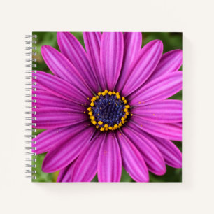 Cuaderno Cabeza de flor púrpura perfecta