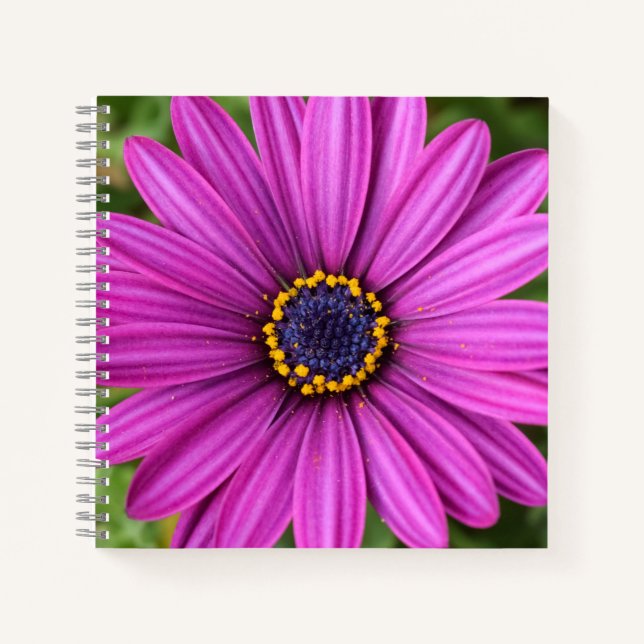 Cuaderno Cabeza de flor púrpura perfecta (Anverso)