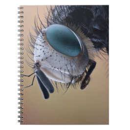 Cuaderno Cabeza de insecto en primer plano
