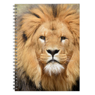Cuaderno Cabeza de león
