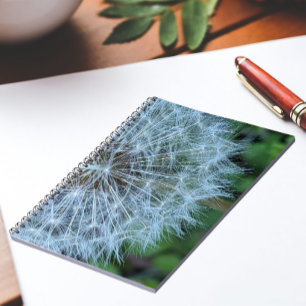 Cuaderno Cabeza de semilla de diente de león esponjosa Foto