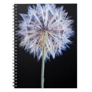 Cuaderno Cabeza de semilla de diente de león (Taraxacum Off