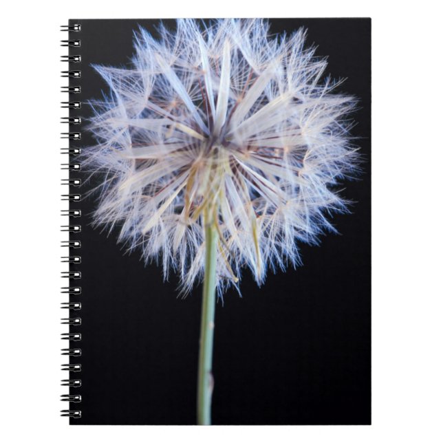 Cuaderno Cabeza de semilla de diente de león (Taraxacum Off (Frente)