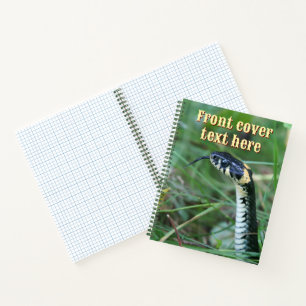 Cuaderno Cabeza de serpiente