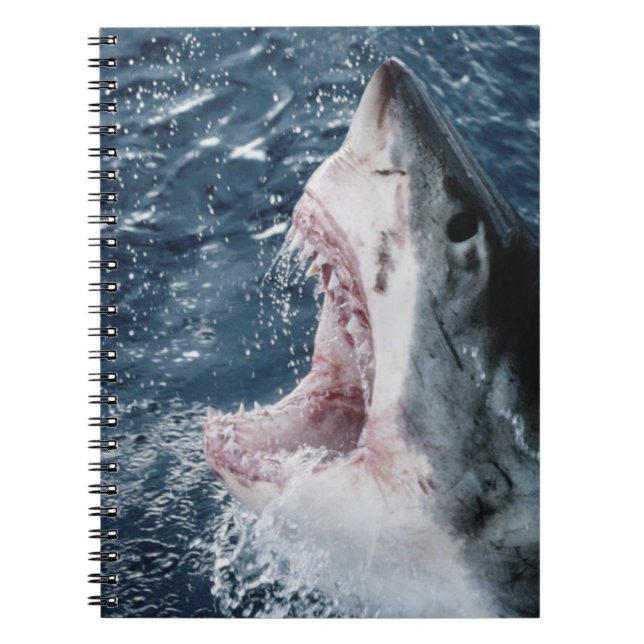 Cuaderno Cabeza de tiburón blanco (Frente)