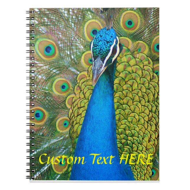 Cuaderno Cabeza del azul de pavo real con y plumas de cola (Frente)