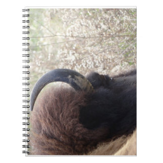 Cuaderno Cabeza del bisonte que se acuesta