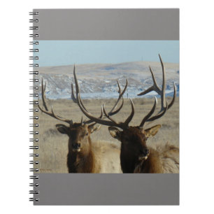 Cuaderno Cabezas de alce toro E45