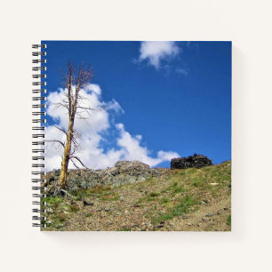 Cuaderno Cabina de piedra antigua en los lagos Gaylor, paso