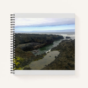Cuaderno Cabo Perpetua, Costa de Oregón