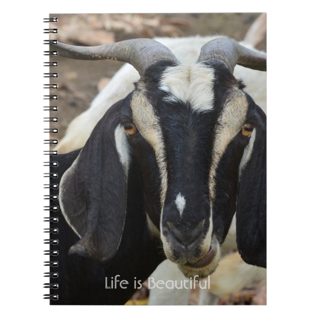Cuaderno Cabra Blanco Negro Kauai (mi fotografía) (Frente)