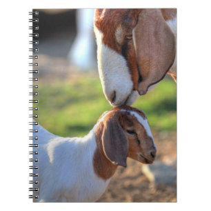 Cuaderno Cabra de la madre que besa a su bebé en la cabeza
