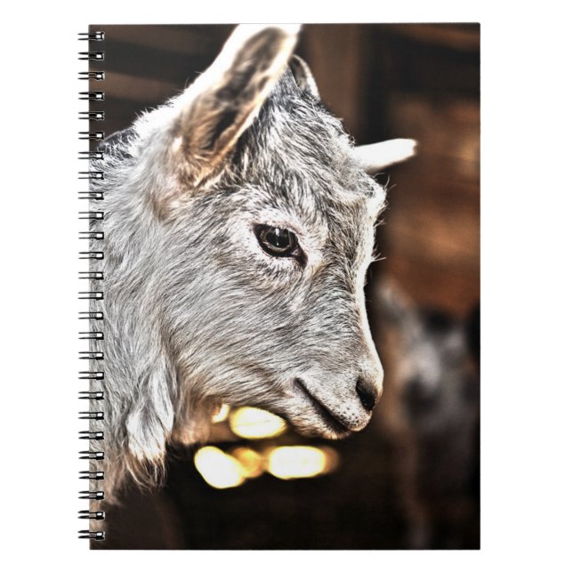 Cuaderno Cabra de las imágenes el | de Getty pequeña (Frente)