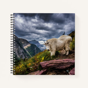 Cuaderno Cabra de Montaña Rocosa